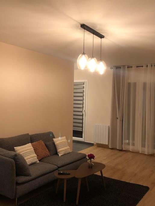 Superbe Appartement Tout Equipe, Le Nid D'Eva A Metz Gare, Parking Prive, Balcon, F2, 50M2, 3P Luaran gambar