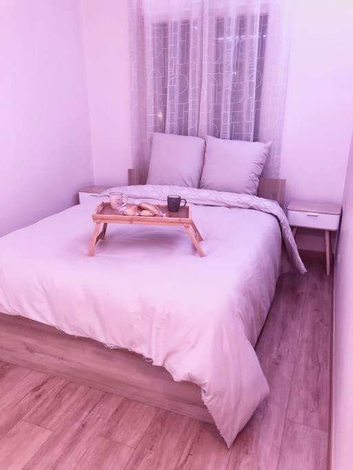 Superbe Appartement Tout Equipe, Le Nid D'Eva A Metz Gare, Parking Prive, Balcon, F2, 50M2, 3P Luaran gambar